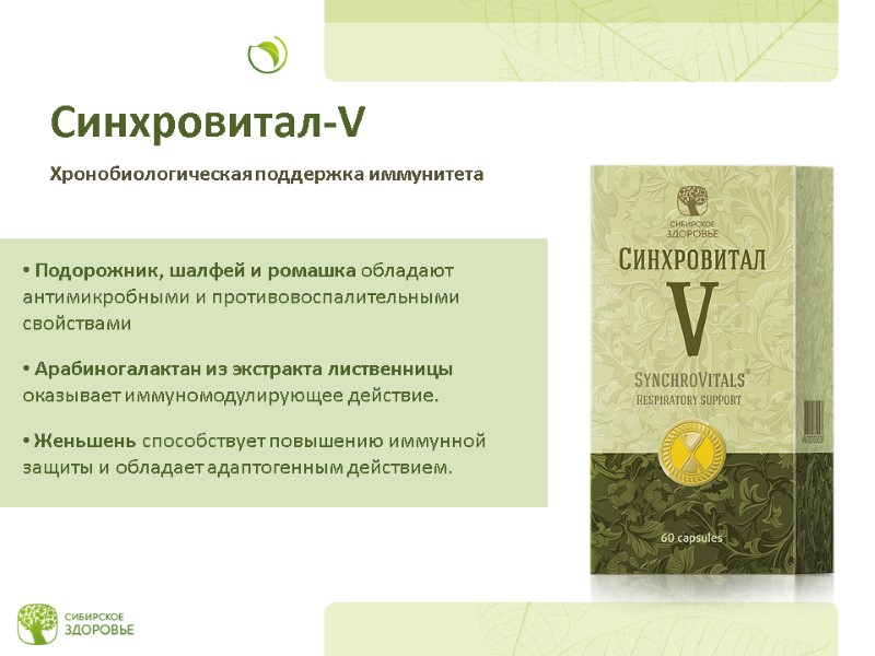 Подорожник, шалфей и ромашка обладают антимикробными и противовоспалительными свойствами   Арабиногалактан из экстракта